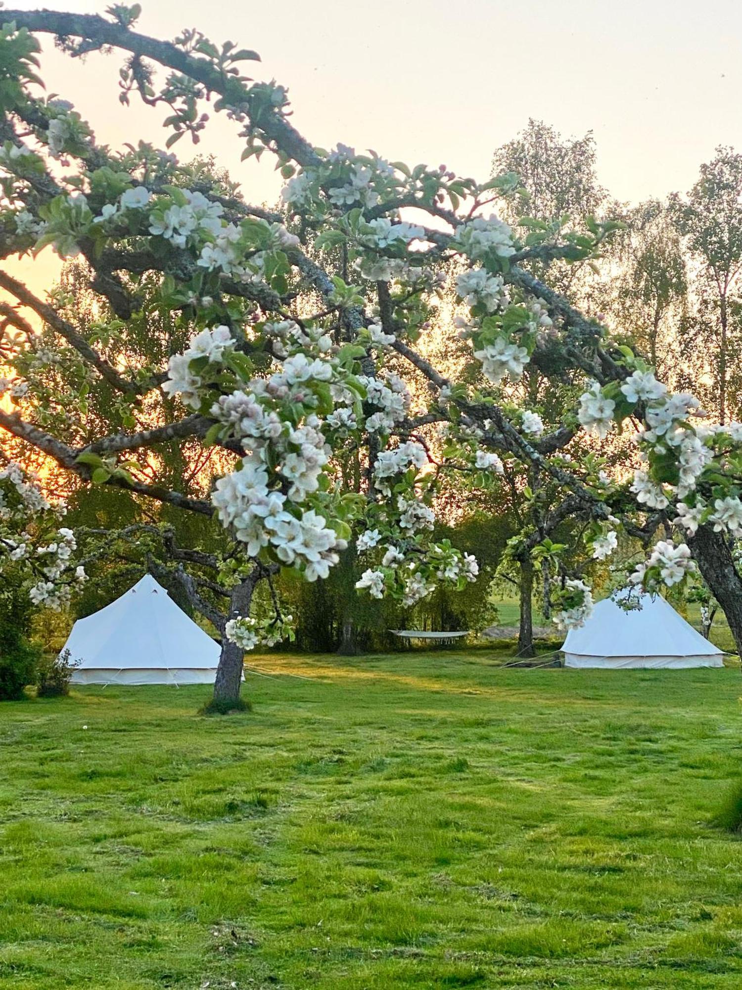 Glamping Soerby Glamping Klockrike